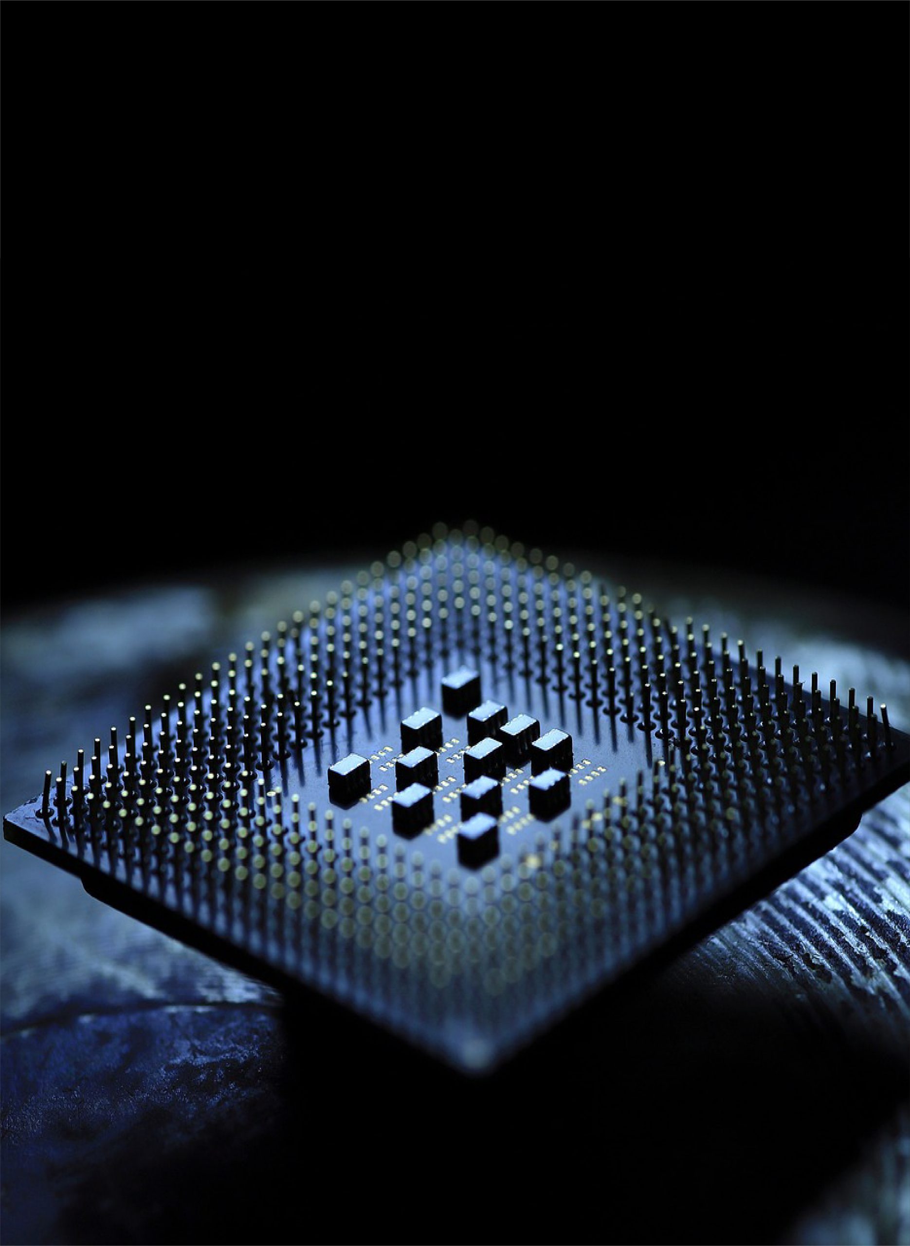 公司产品